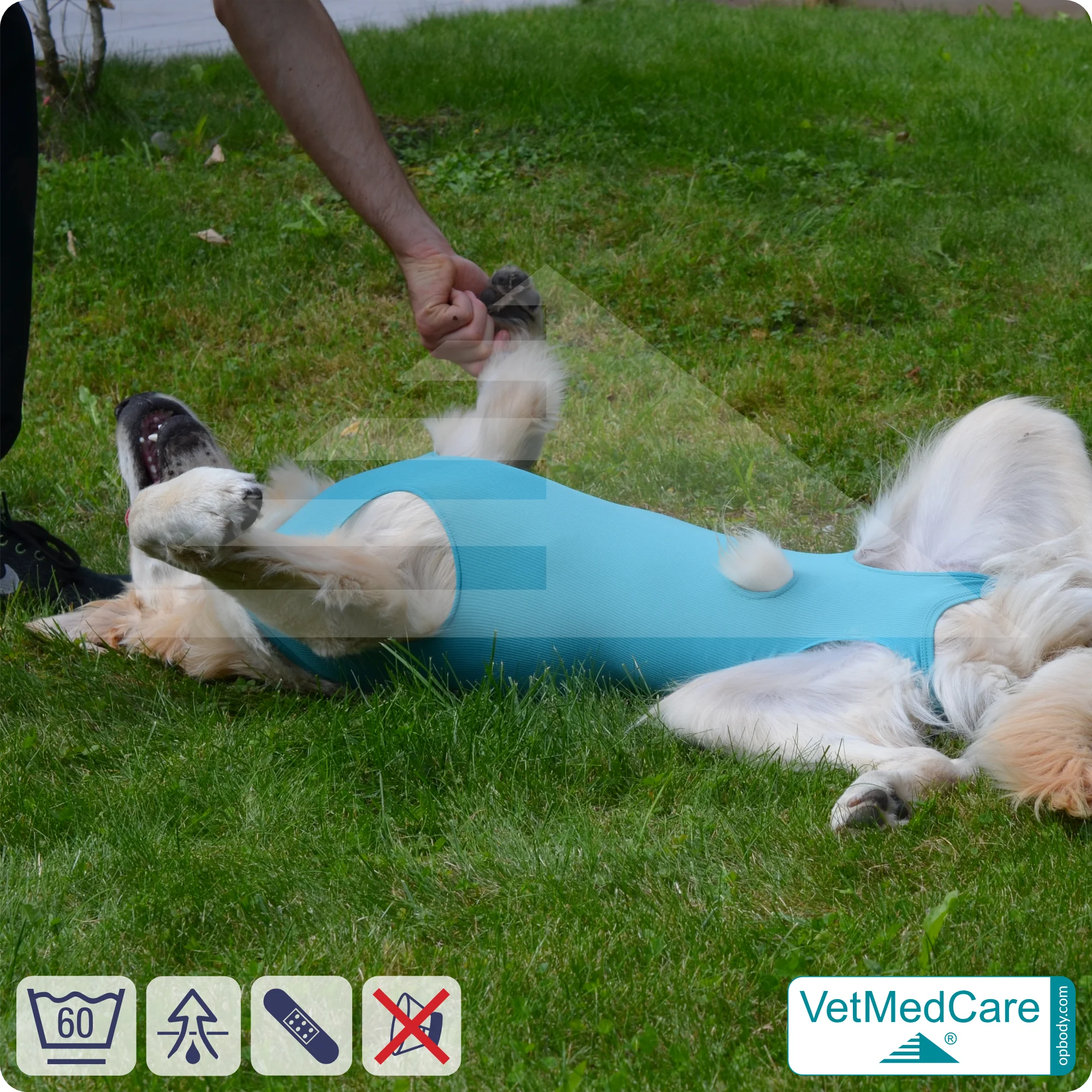Hund OP Hundebody Male | speziell für den Rüden | VetMedCare® 6 Hund OP Hundebody Male | speziell für den Rüden | VetMedCare®