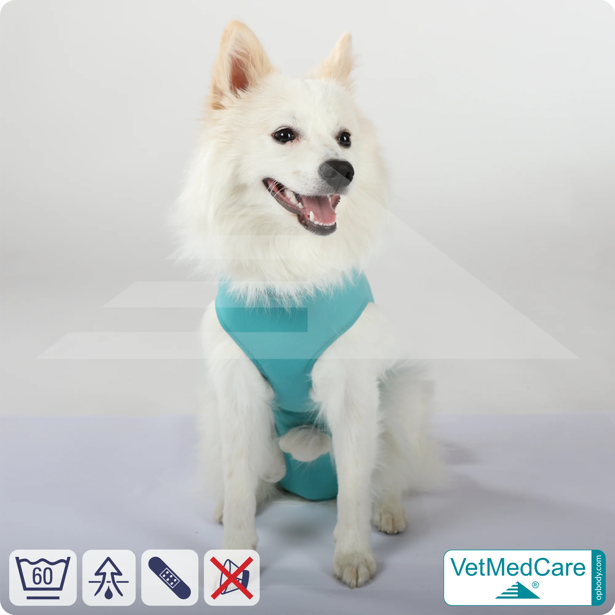 Hund OP Hundebody Male | speziell für den Rüden | VetMedCare® 8 Hund OP Hundebody Male | Body speziell für den Rüden | VetMedCare®