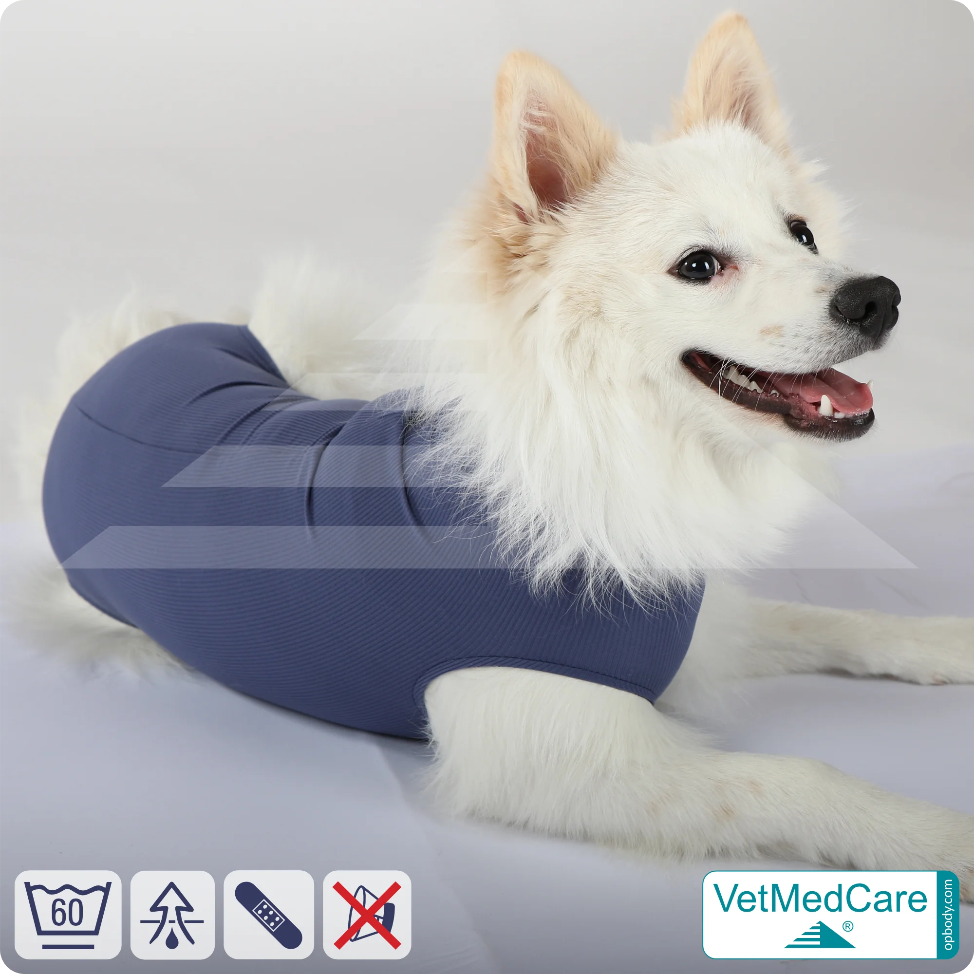 Hund OP Hundebody Male | speziell für den Rüden | VetMedCare® 4 Hund OP Hundebody Male | speziell für den Rüden | VetMedCare®