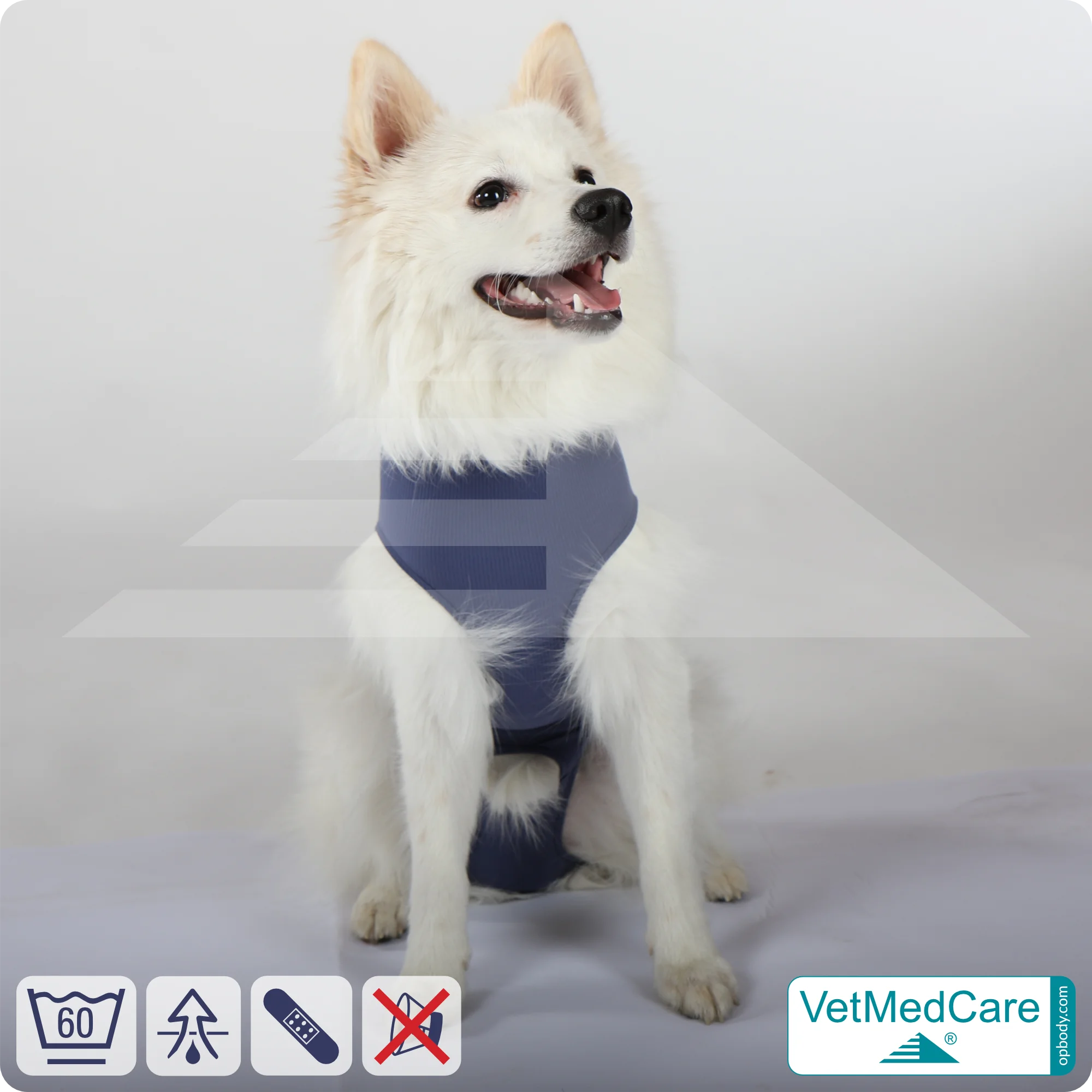 Hund OP Hundebody Male | speziell für den Rüden | VetMedCare® 7 Hund OP Hundebody Male | speziell für den Rüden | VetMedCare®
