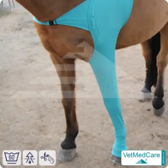 Pferde Wundschutz / Beinschutz für die Beine - Vorderlauf | links und rechts passend | VetMedCare®