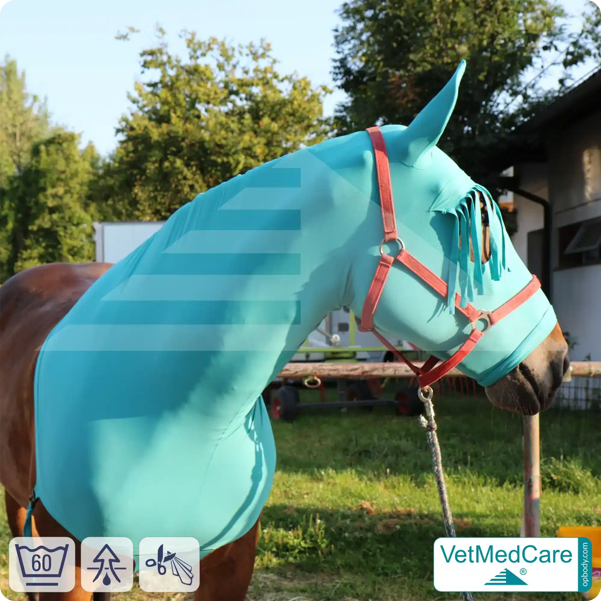 Sleazy / Sleezy Pferde Body, Pferdehaube - Fliegenschutz, Mückenschutz bzw. Insektenschutz von Kopf, Ohren und Hals - mit Stirnfransen | VetMedCare 5 Sleazy / Sleezy Pferde Body, Pferdehaube - Fliegenschutz, Mückenschutz bzw. Insektenschutz von Kopf, Ohren und Hals - mit Stirnfransen | VetMedCare