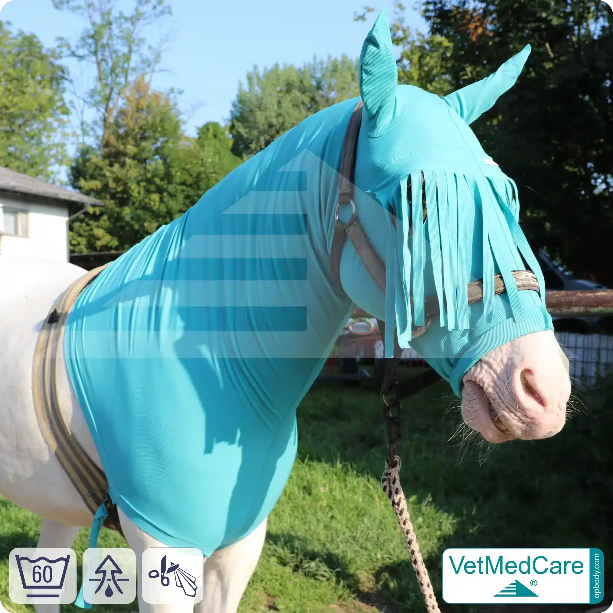 Sleazy / Sleezy Pferde Body, Pferdehaube - Fliegenschutz, Mückenschutz bzw. Insektenschutz von Kopf, Ohren und Hals - mit Stirnfransen | VetMedCare 6 Sleazy / Sleezy Pferde Body, Pferdehaube - Fliegenschutz, Mückenschutz bzw. Insektenschutz von Kopf, Ohren und Hals - mit Stirnfransen | VetMedCare