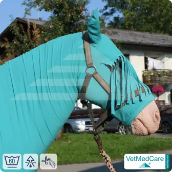 Sleazy / Sleezy Pferde Body, Pferdehaube - Fliegenschutz, Mückenschutz bzw. Insektenschutz von Kopf, Ohren und Hals - mit Stirnfransen | VetMedCare