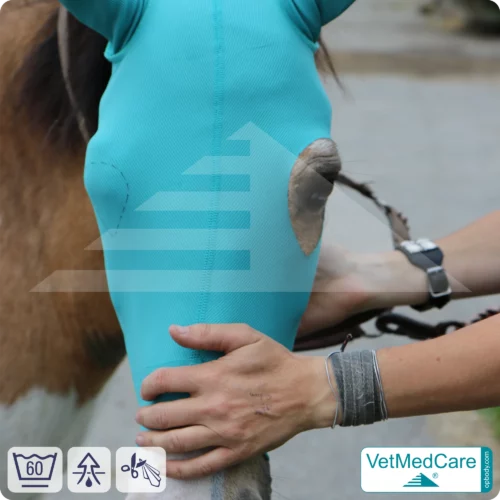 Pferde Kopfmaske | Schutz für Augen, Kopf und Ohren - ohne Augenausschnitt | Horse Head-Ear Protector | VetMedCare®