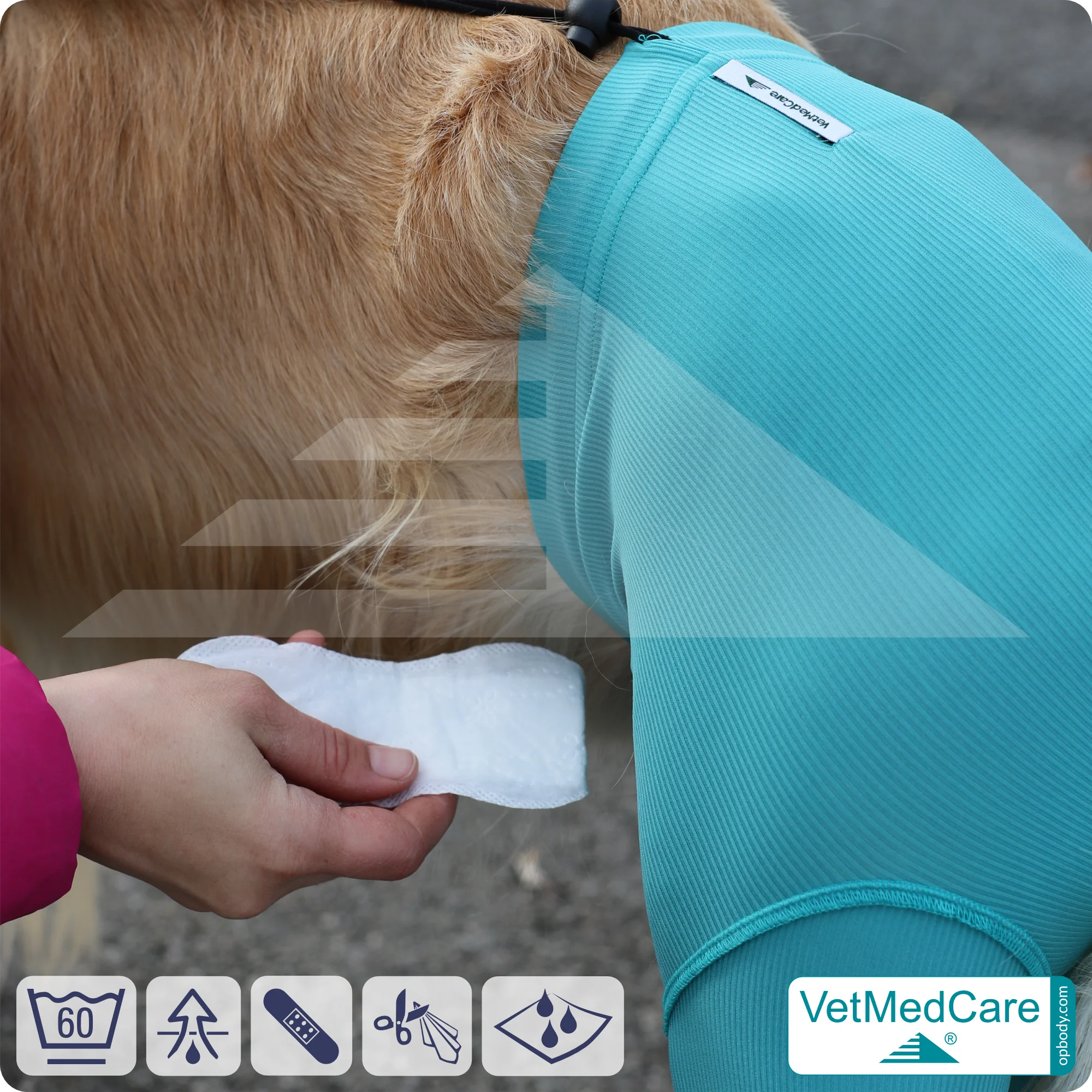 Hunde Sicherheitshosen / Hundewindeln | Dog Safety Pants bei Läufigkeit, Menstruation und Inkontinenz | VetMedCare® 6 Hunde Sicherheitshosen + Hundewindeln | Dog Safety Pants bei Läufigkeit, Menstruation und Inkontinenz | VetMedCare®