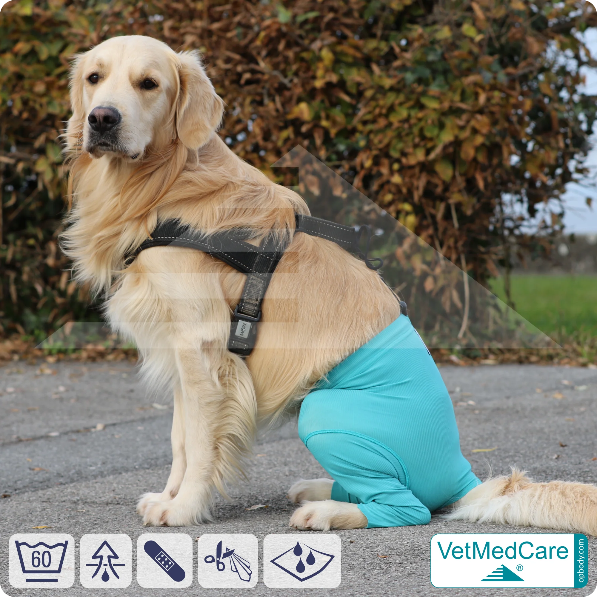 Hunde Sicherheitshosen / Hundewindeln | Dog Safety Pants bei Läufigkeit, Menstruation und Inkontinenz | VetMedCare® 7 Hunde Sicherheitshosen + Hundewindeln | Dog Safety Pants bei Läufigkeit, Menstruation und Inkontinenz | VetMedCare®