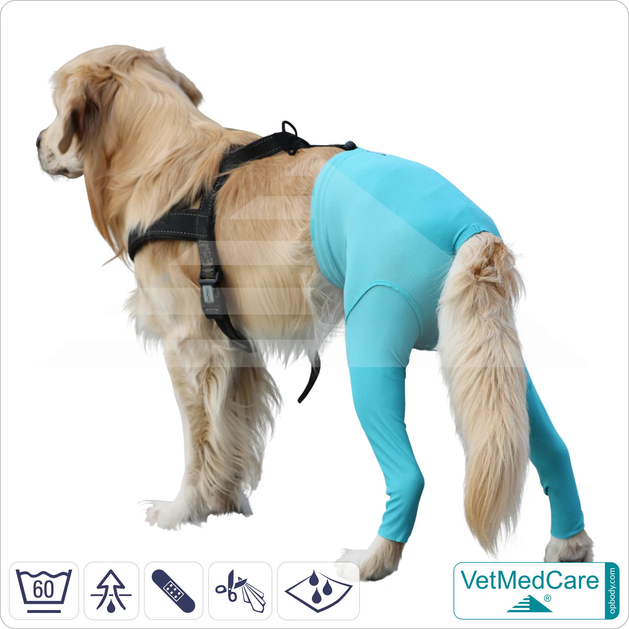 Hunde Sicherheitshosen / Hundewindeln | Dog Safety Pants bei Läufigkeit, Menstruation und Inkontinenz | VetMedCare® 3 Hunde Sicherheitshosen + Hundewindeln | Dog Safety Pants bei Läufigkeit, Menstruation und Inkontinenz | VetMedCare®