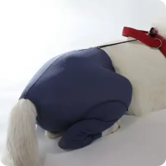 Hunde Sicherheitshosen / Hundewindeln | Dog Safety Pants bei Läufigkeit, Menstruation und Inkontinenz | VetMedCare® 17 Hunde Sicherheitshosen + Hundewindeln | Dog Safety Pants bei Läufigkeit, Menstruation und Inkontinenz | VetMedCare®. Feedbild.
