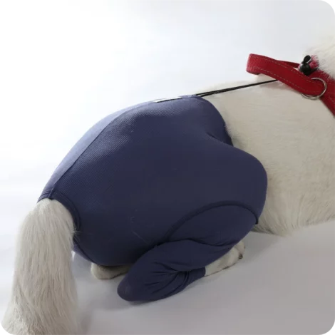 Hunde Sicherheitshosen / Hundewindeln | Dog Safety Pants bei Läufigkeit, Menstruation und Inkontinenz | VetMedCare® 17 Hunde Sicherheitshosen + Hundewindeln | Dog Safety Pants bei Läufigkeit, Menstruation und Inkontinenz | VetMedCare®. Feedbild.