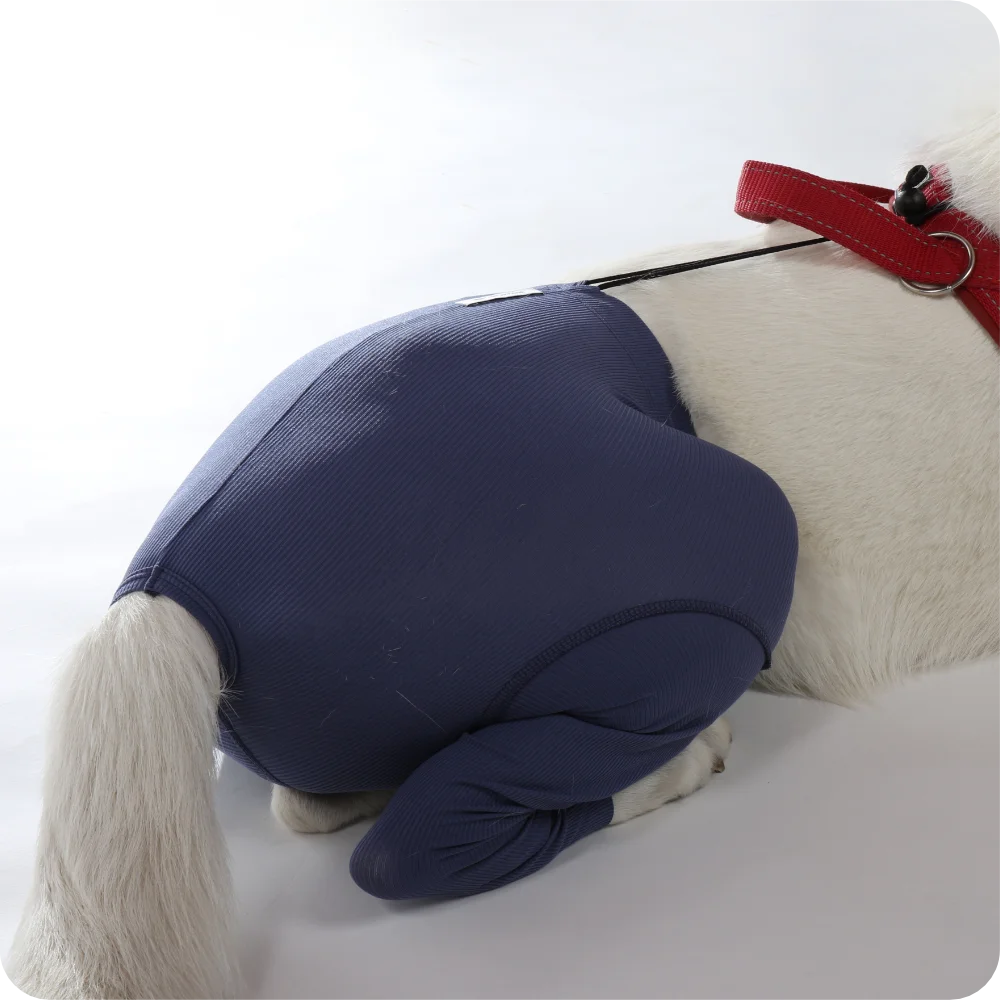 Hunde Sicherheitshosen / Hundewindeln | Dog Safety Pants bei Läufigkeit, Menstruation und Inkontinenz | VetMedCare® 8 Hunde Sicherheitshosen + Hundewindeln | Dog Safety Pants bei Läufigkeit, Menstruation und Inkontinenz | VetMedCare®. Feedbild.