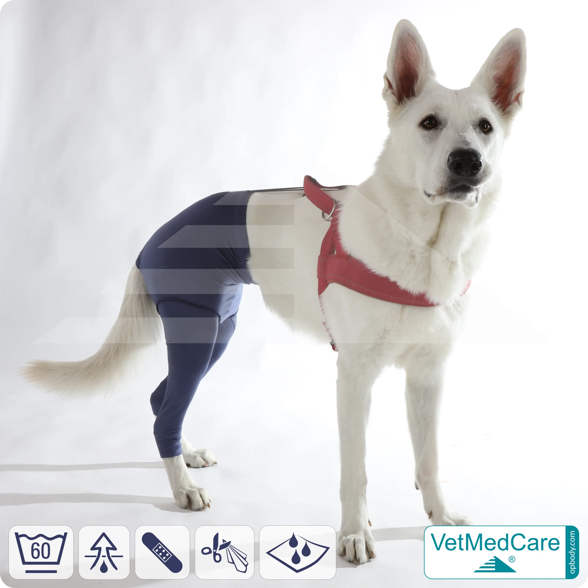 Hunde Sicherheitshosen / Hundewindeln | Dog Safety Pants bei Läufigkeit, Menstruation und Inkontinenz | VetMedCare® 4 Hunde Sicherheitshosen + Hundewindeln | Dog Safety Pants bei Läufigkeit, Menstruation und Inkontinenz | VetMedCare®
