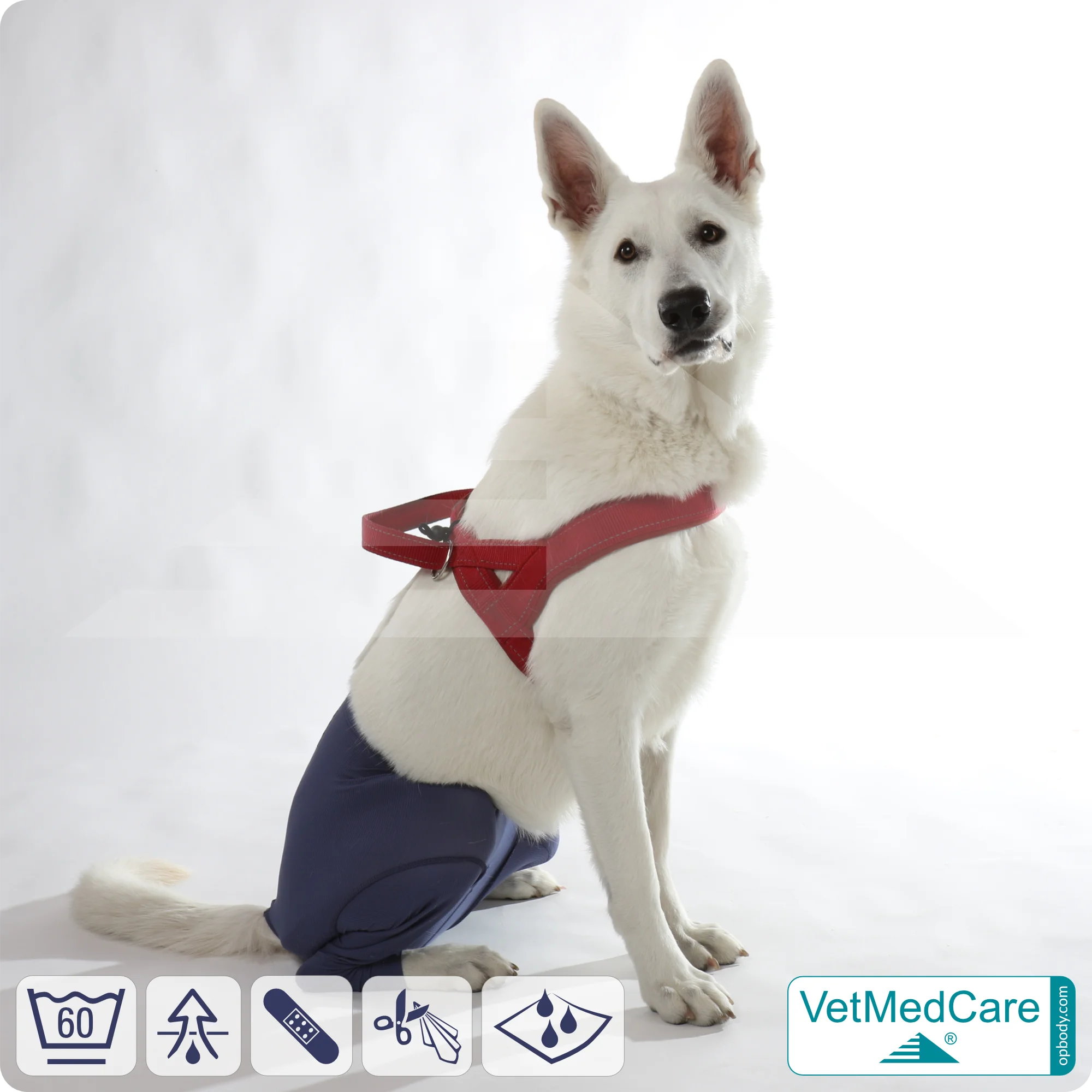 Hunde Sicherheitshosen / Hundewindeln | Dog Safety Pants bei Läufigkeit, Menstruation und Inkontinenz | VetMedCare® 12 Hunde Sicherheitshosen + Hundewindeln | Dog Safety Pants bei Läufigkeit, Menstruation und Inkontinenz | VetMedCare®