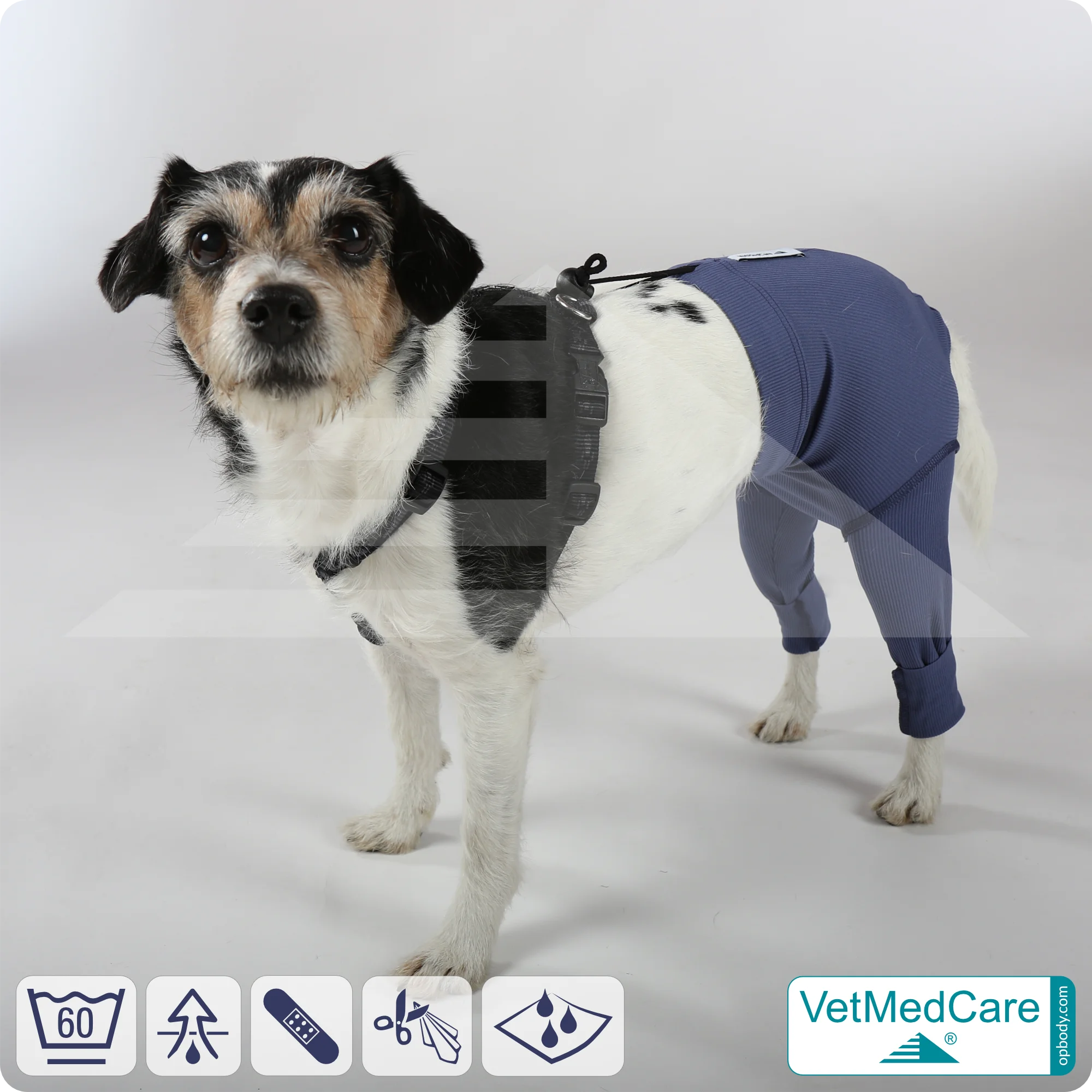 Hunde Sicherheitshosen / Hundewindeln | Dog Safety Pants bei Läufigkeit, Menstruation und Inkontinenz | VetMedCare® 11 Hunde Sicherheitshosen + Hundewindeln | Dog Safety Pants bei Läufigkeit, Menstruation und Inkontinenz | VetMedCare®