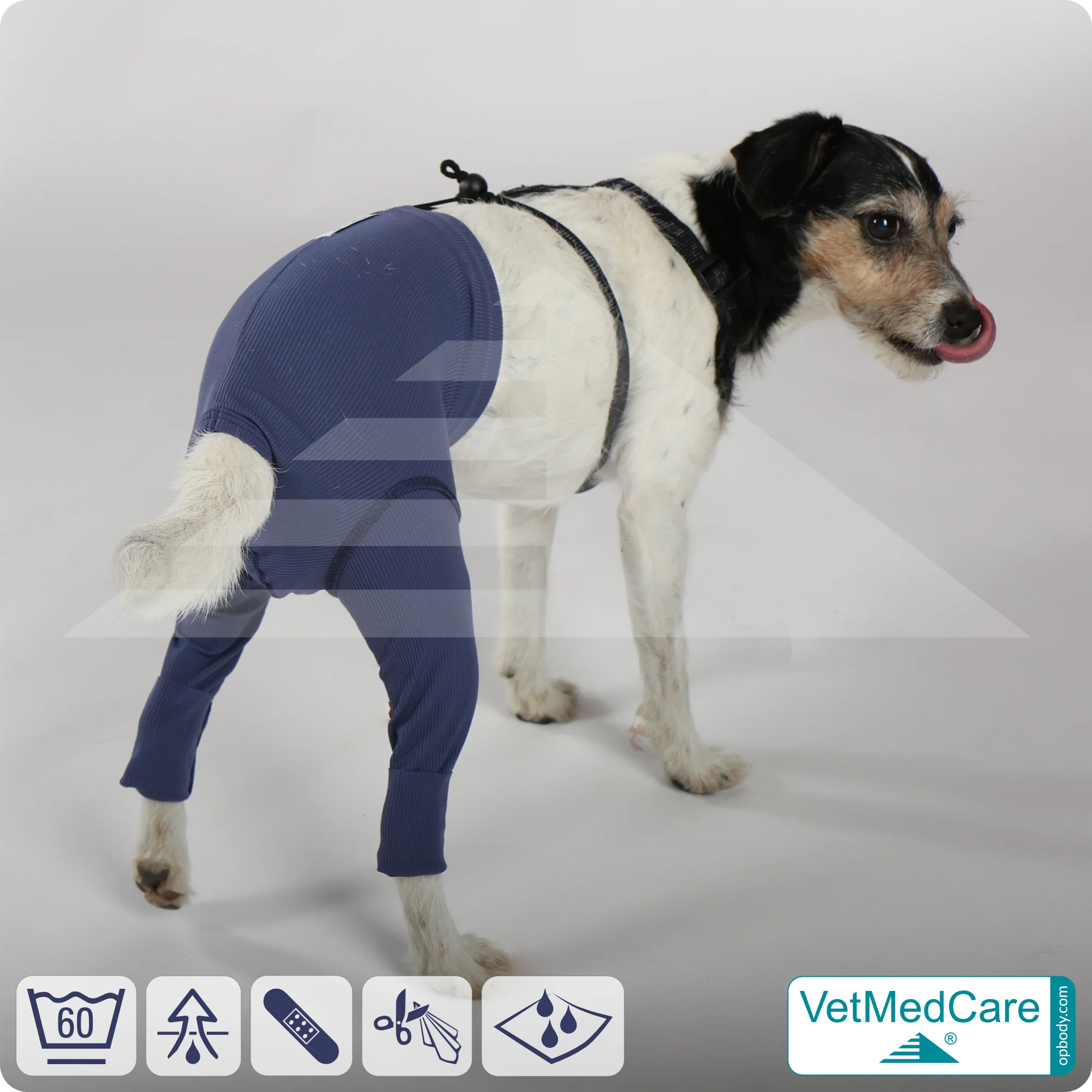 Hunde Sicherheitshosen / Hundewindeln | Dog Safety Pants bei Läufigkeit, Menstruation und Inkontinenz | VetMedCare® 5 Hunde Sicherheitshosen + Hundewindeln | Dog Safety Pants bei Läufigkeit, Menstruation und Inkontinenz | VetMedCare®