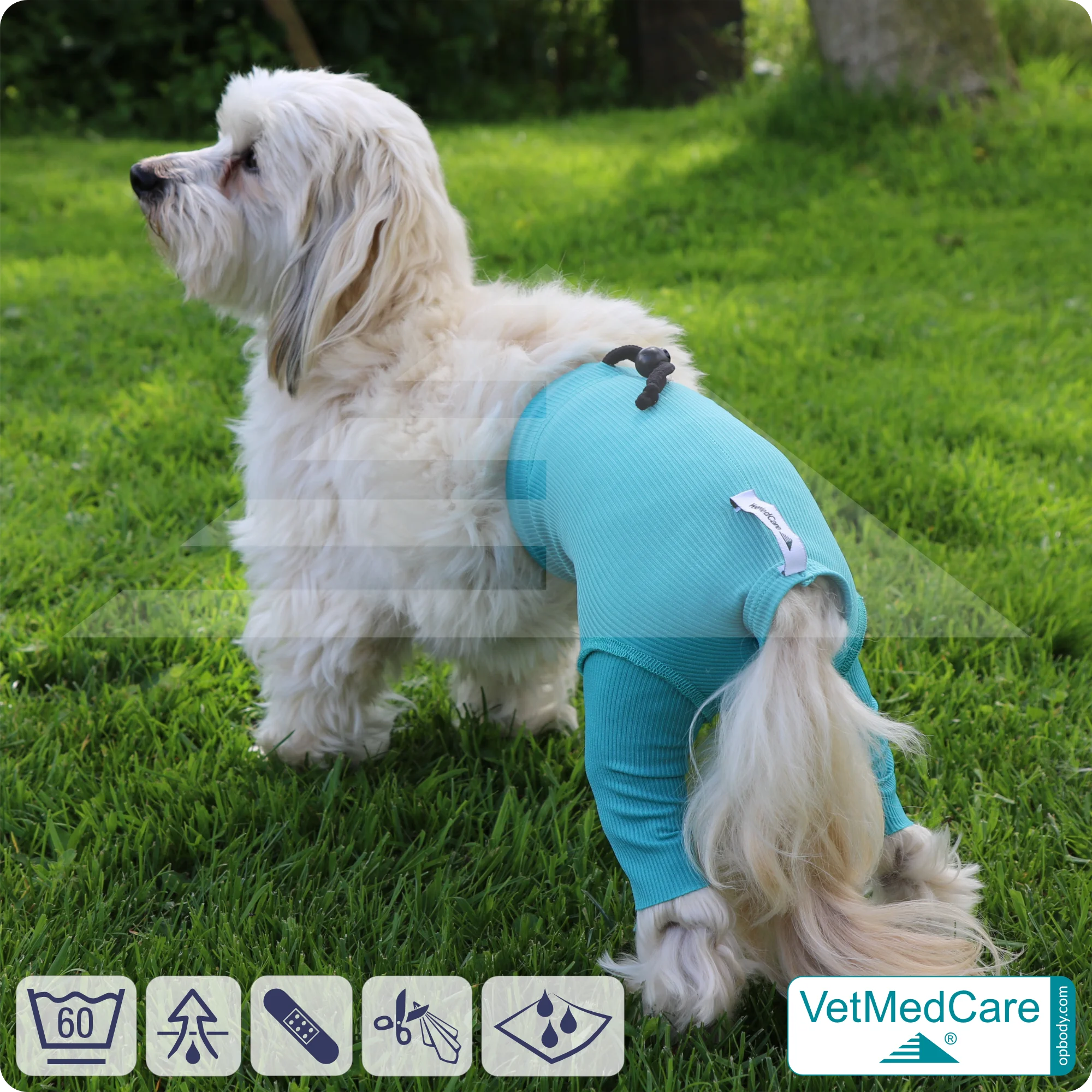Hunde Sicherheitshosen / Hundewindeln | Dog Safety Pants bei Läufigkeit, Menstruation und Inkontinenz | VetMedCare® 9 Hunde Sicherheitshosen + Hundewindeln | Dog Safety Pants bei Läufigkeit, Menstruation und Inkontinenz | VetMedCare®
