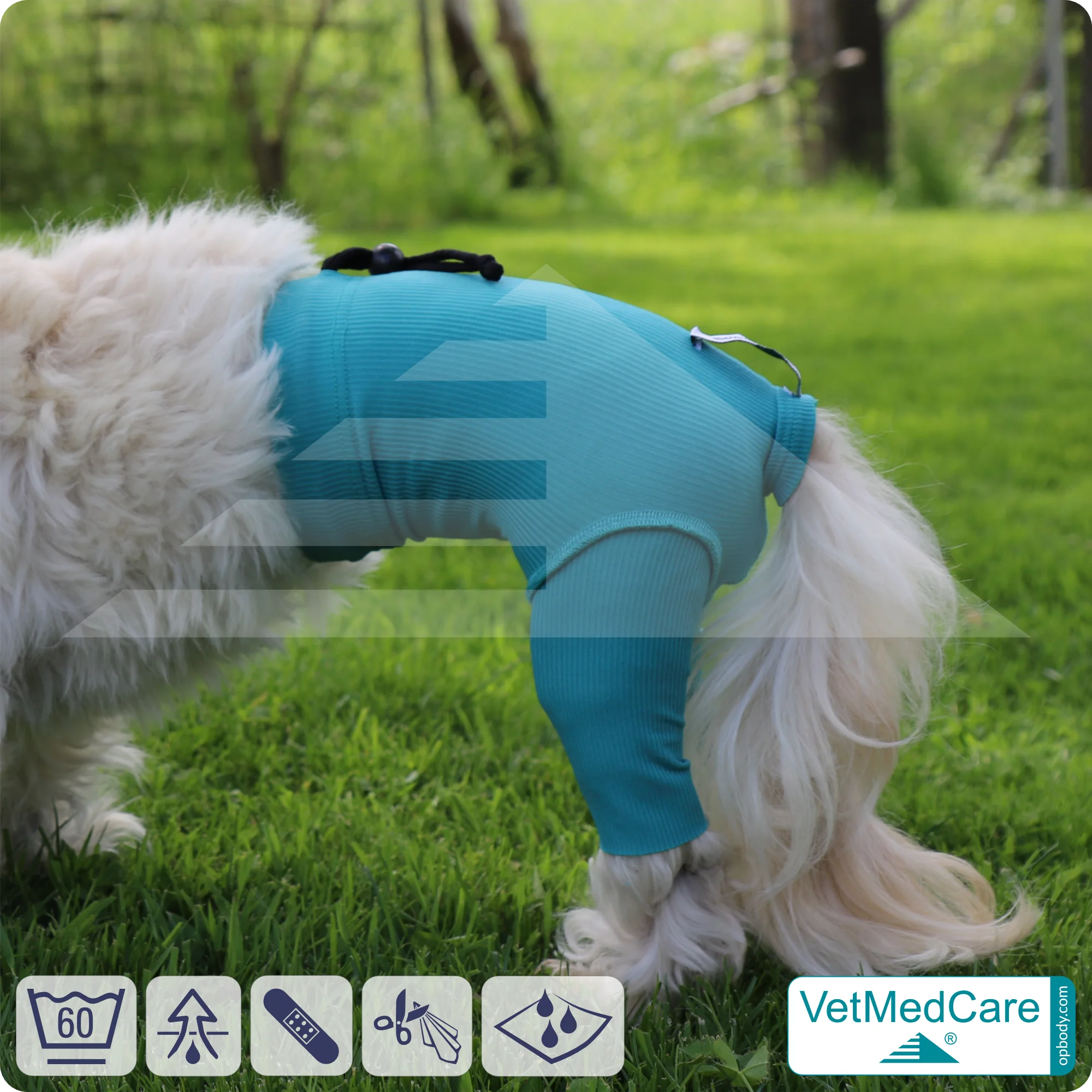 Hunde Sicherheitshosen / Hundewindeln | Dog Safety Pants bei Läufigkeit, Menstruation und Inkontinenz | VetMedCare® 10 Hunde Sicherheitshosen + Hundewindeln | Dog Safety Pants bei Läufigkeit, Menstruation und Inkontinenz | VetMedCare®
