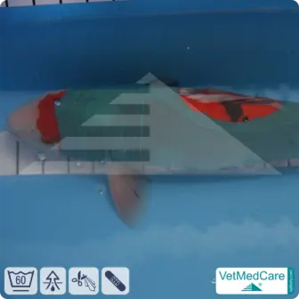 DIY Safety Tubes | wie Mullbinden, Verband und Pflaster in einem | Schutz Strümpfe für Haustiere wie Hamster, Hase und Kleintiere | VetMedCare®