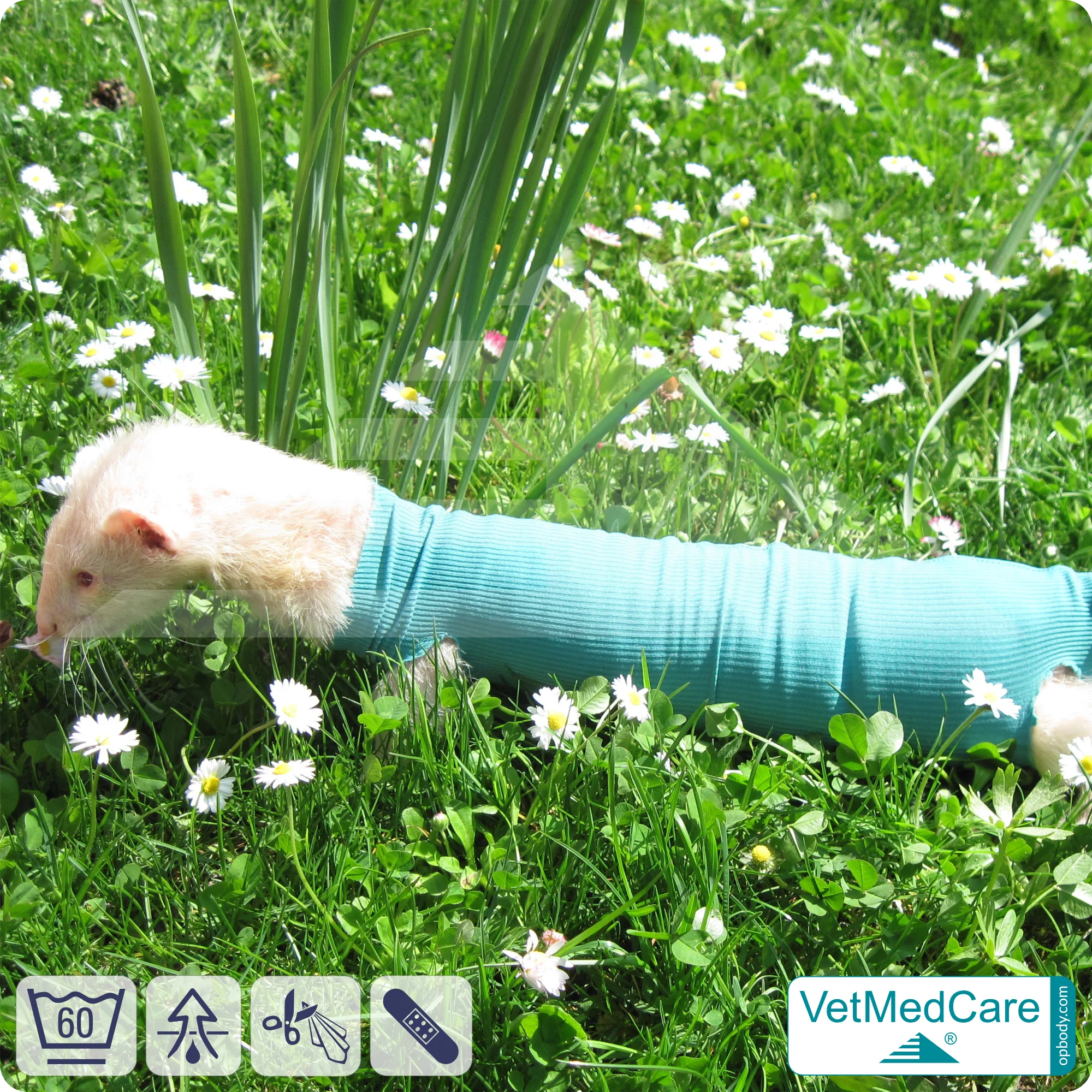 Safety Tubes DIY | wie Mullbinde, Verband und Pflaster in einem | Schutz Strümpfe für Haustiere wie Hamster, Hase und Kleintiere | VetMedCare® 5 DIY Safety Tubes | wie Mullbinden, Verband und Pflaster in einem | Schutz Strümpfe für Haustiere wie Hamster, Hase und Kleintiere | VetMedCare®