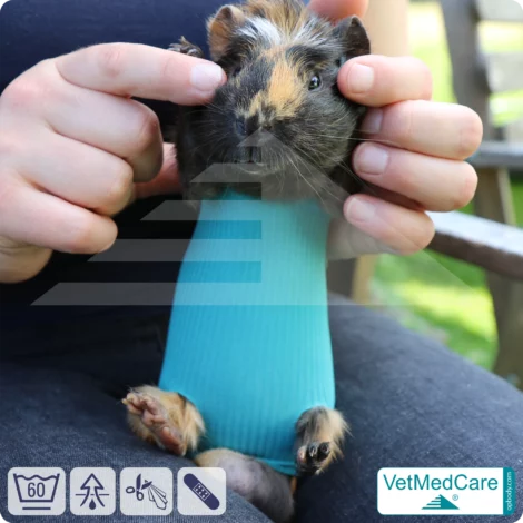 Safety Tubes DIY | wie Mullbinde, Verband und Pflaster in einem | Schutz Strümpfe für Haustiere wie Hamster, Hase und Kleintiere | VetMedCare® 19 DIY Safety Tubes | wie Mullbinden, Verband und Pflaster in einem | Schutz Strümpfe für Haustiere wie Hamster, Hase und Kleintiere | VetMedCare®