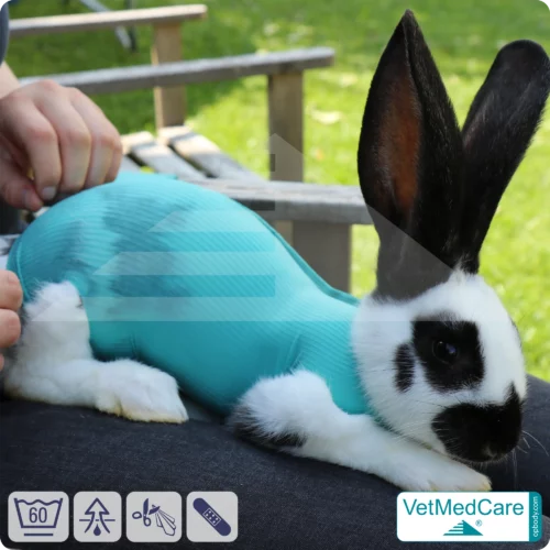 Safety Tubes DIY | wie Mullbinde, Verband und Pflaster in einem | Schutz Strümpfe für Haustiere wie Hamster, Hase und Kleintiere | VetMedCare®