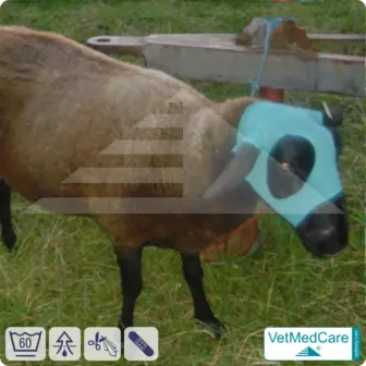 DIY Safety Tubes | wie Mullbinden, Verband und Pflaster in einem | Schutz Strümpfe für Haustiere wie Hamster, Hase und Kleintiere | VetMedCare®