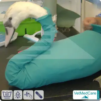 DIY Safety Tubes | wie Mullbinden, Verband und Pflaster in einem | Schutz Strümpfe für Haustiere wie Hamster, Hase und Kleintiere | VetMedCare®
