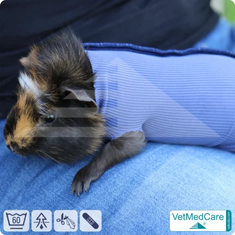 SPAR-SET: Safety Tubes DIY | wie Mullbinde, Verband und Pflaster in einem | Schutz Strümpfe für Haustiere wie Hamster, Hase und Kleintiere | VetMedCare® 1 Safety Tubes DIY | wie Mullbinde, Verband und Pflaster in einem | Schutz Strümpfe für Haustiere wie Hamster, Hase und Kleintiere | VetMedCare®