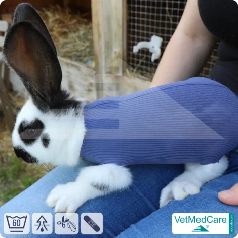 Safety Tubes DIY | wie Mullbinde, Verband und Pflaster in einem | Schutz Strümpfe für Haustiere wie Hamster, Hase und Kleintiere | VetMedCare® 17 Safety Tubes DIY | wie Mullbinde, Verband und Pflaster in einem | Schutz Strümpfe für Haustiere wie Hamster, Hase und Kleintiere | VetMedCare®