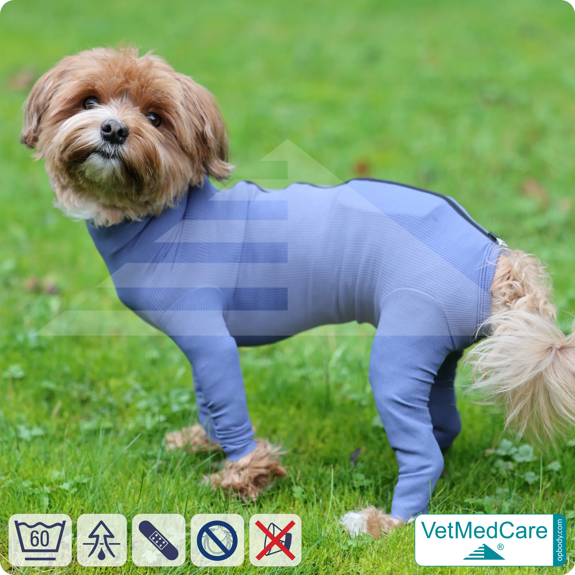 VetMedCare Hundebody mit Reißverschluss | OP-Schutzbody für Hunde nach Operation | Atmungsaktiver Wundschutz & Komfort 4 Hundebody mit Zipper blau | VetMedCare