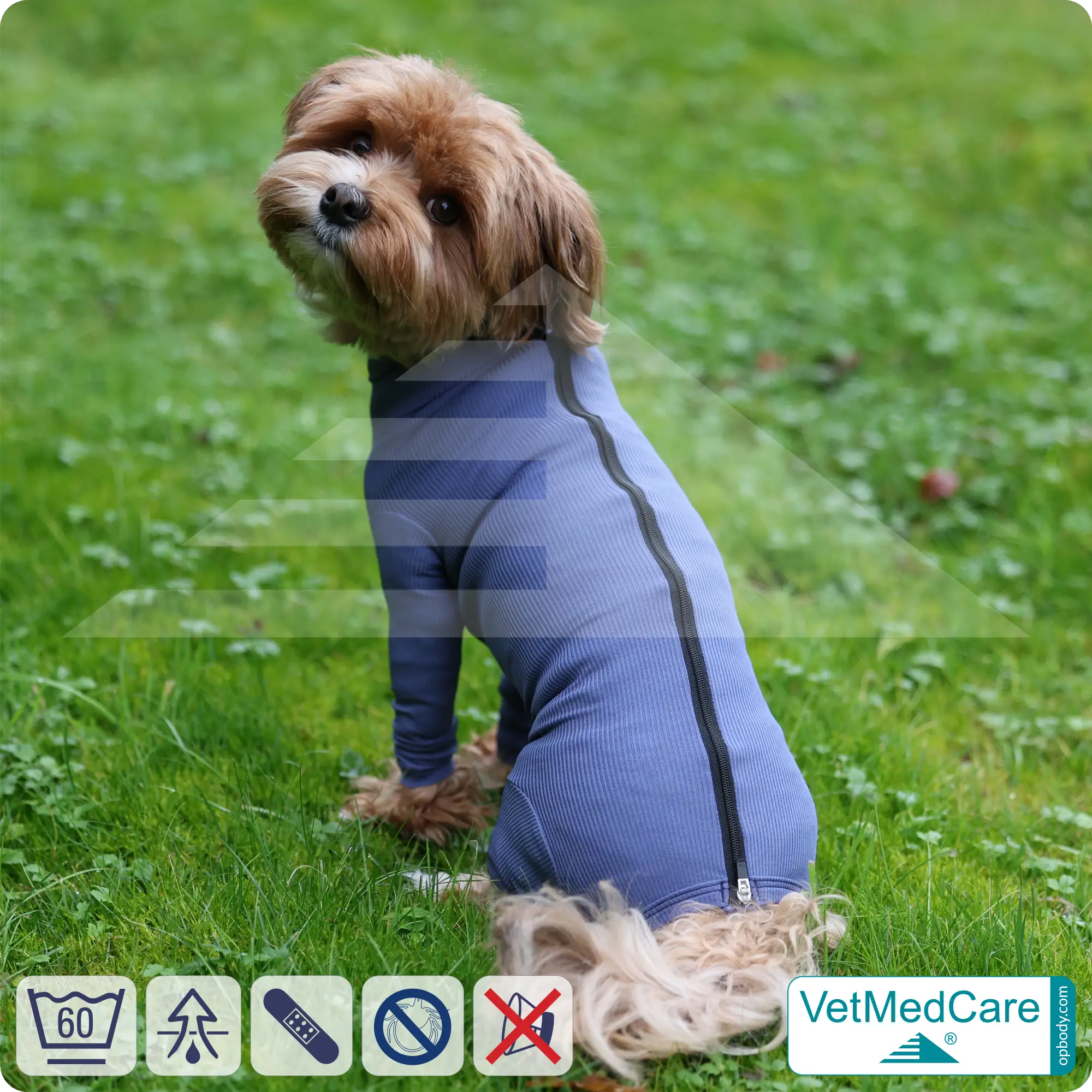 VetMedCare Hundebody mit Reißverschluss | OP-Schutzbody für Hunde nach Operation | Atmungsaktiver Wundschutz & Komfort 8 Hundebody mit Zipper blau | VetMedCare