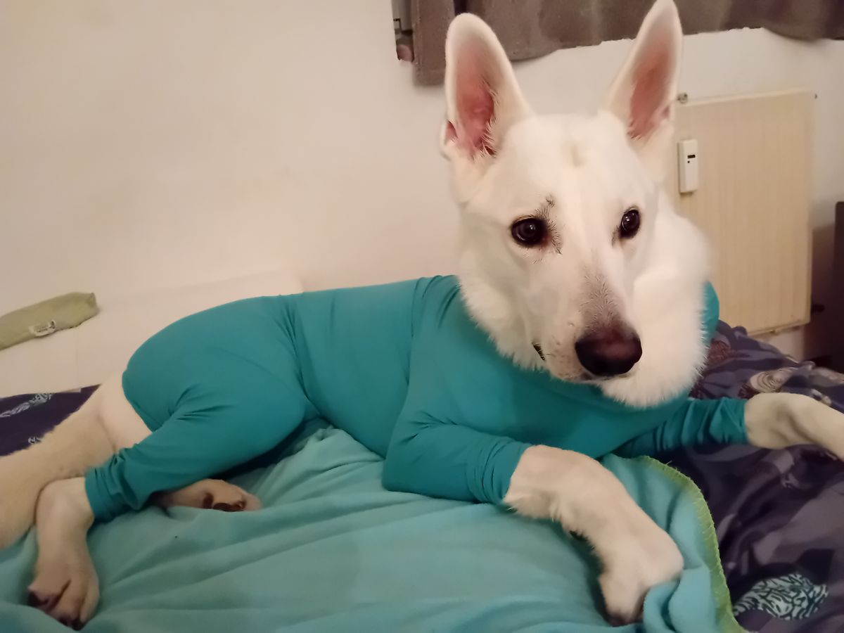 Bild #2 von Leila F.