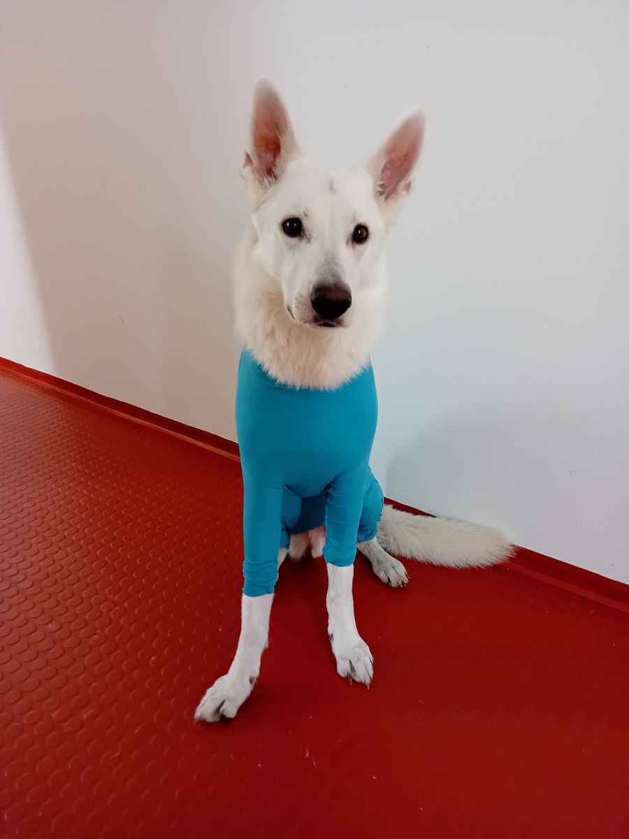 Bild #1 von Leila F.