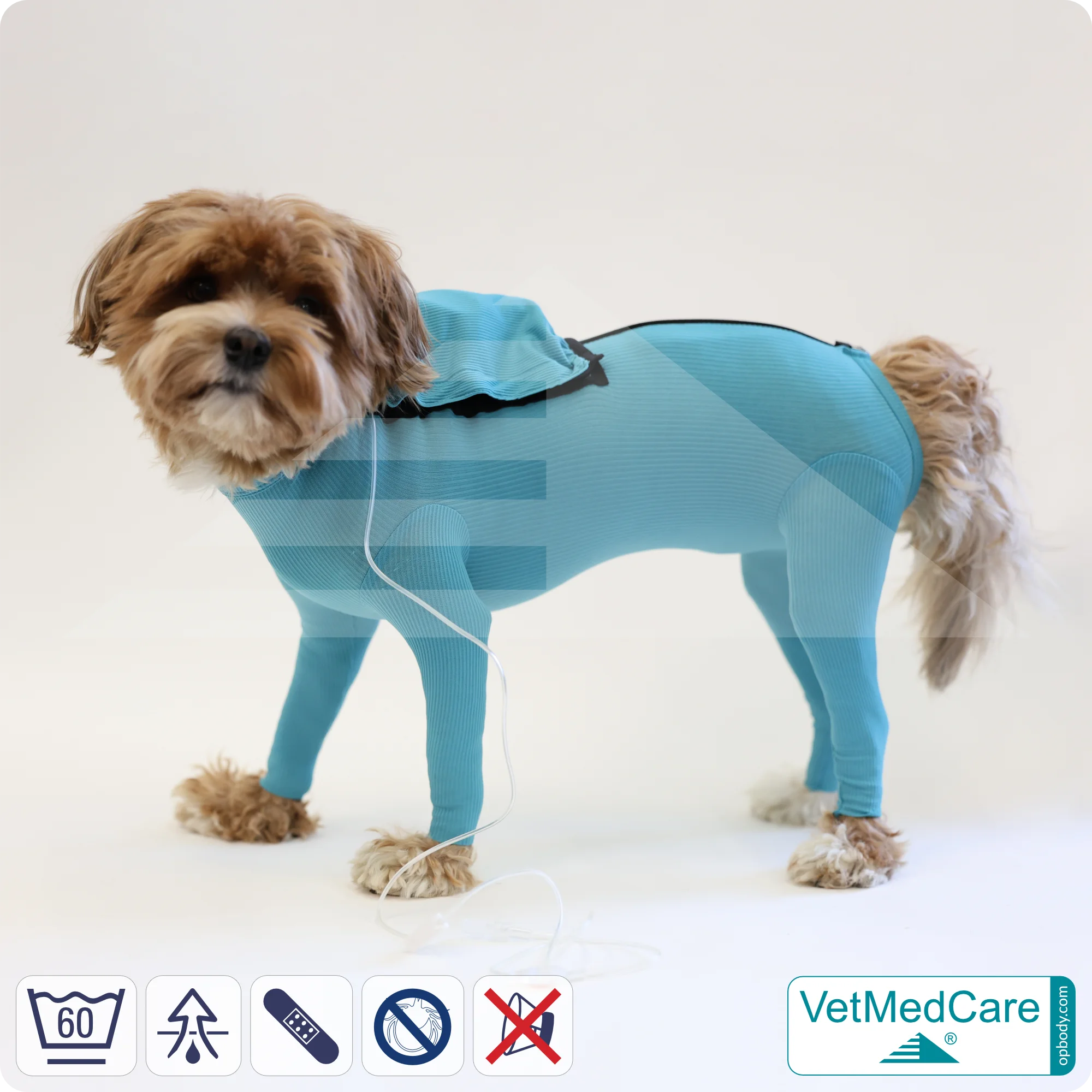 Hund System Body mit Beinen + Reißverschluss + Zusatzfunktion Tasche | Hund Body - Ganzkörperbody mit 4 Beinen | VetMedCare® 3 Hund System Body mit Beinen + Reißverschluss + Zusatzfunktion | Hund Body - Ganzkörperbody mit 4 Beinen | VetMedCare®