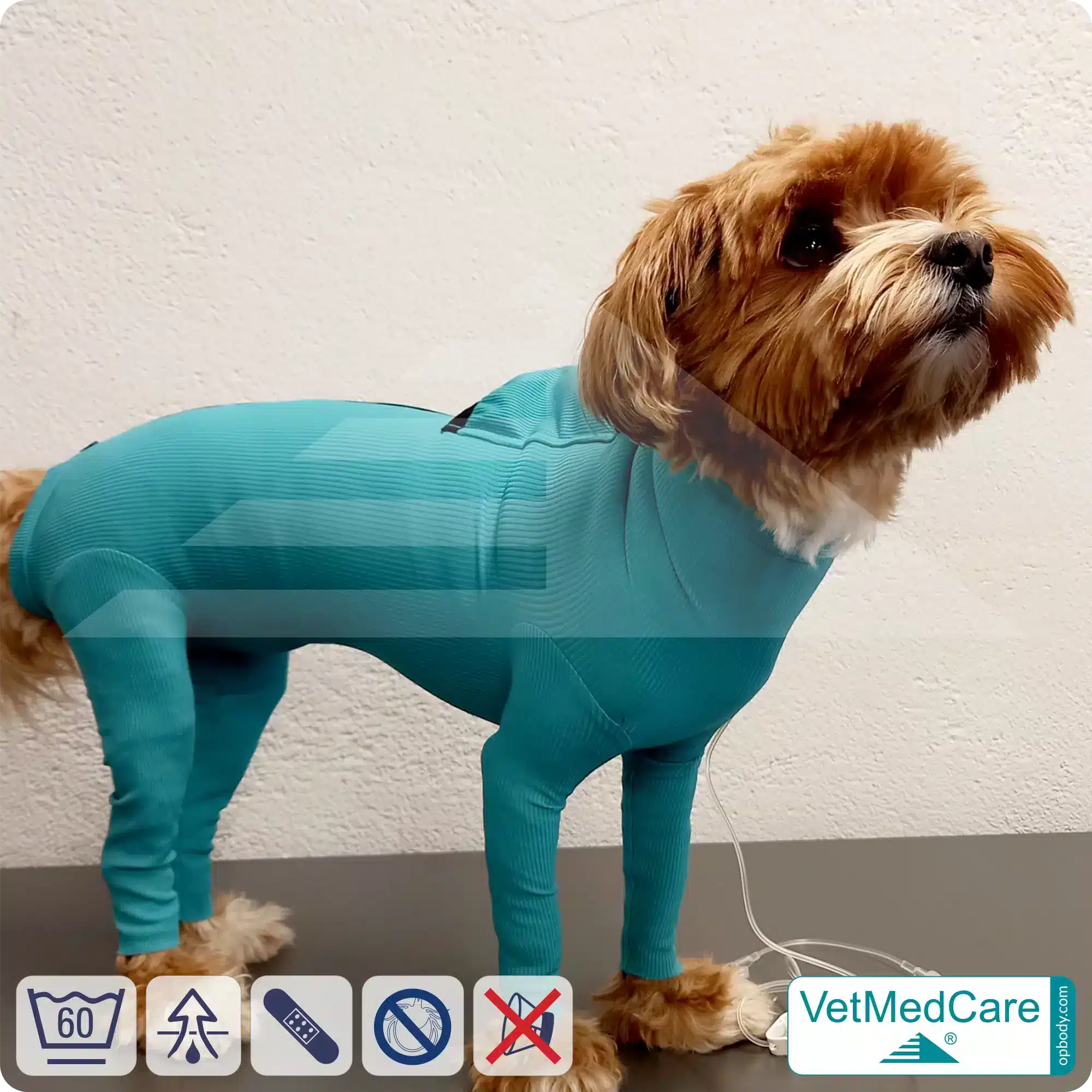 Hund System Body mit Beinen + Reißverschluss + Zusatzfunktion Tasche | Hund Body - Ganzkörperbody mit 4 Beinen | VetMedCare® 9 Hund System Body mit Beinen + Reißverschluss + Zusatzfunktion | Hund Body - Ganzkörperbody mit 4 Beinen | VetMedCare®