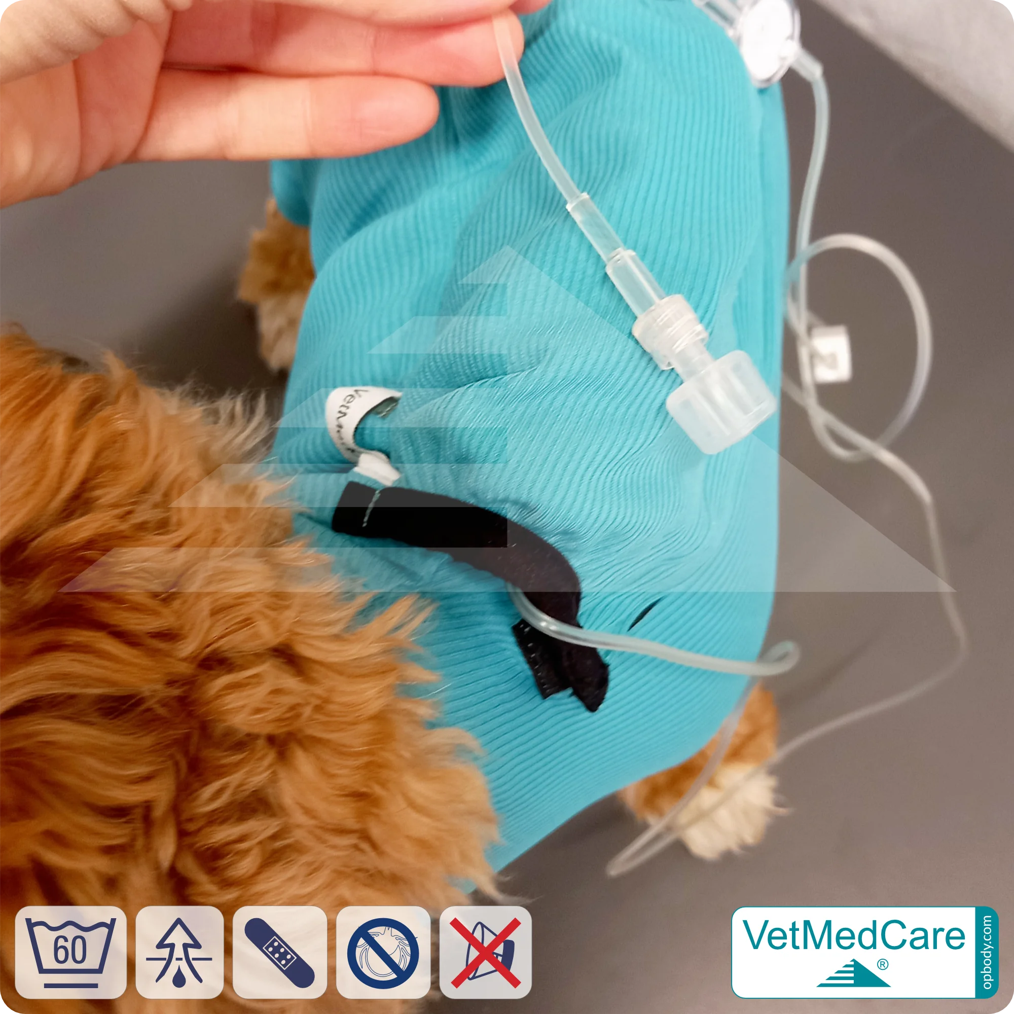 Hund System Body mit Beinen + Reißverschluss + Zusatzfunktion Tasche | Hund Body - Ganzkörperbody mit 4 Beinen | VetMedCare® 11 Hund System Body mit Beinen + Reißverschluss + Zusatzfunktion | Hund Body - Ganzkörperbody mit 4 Beinen | VetMedCare®