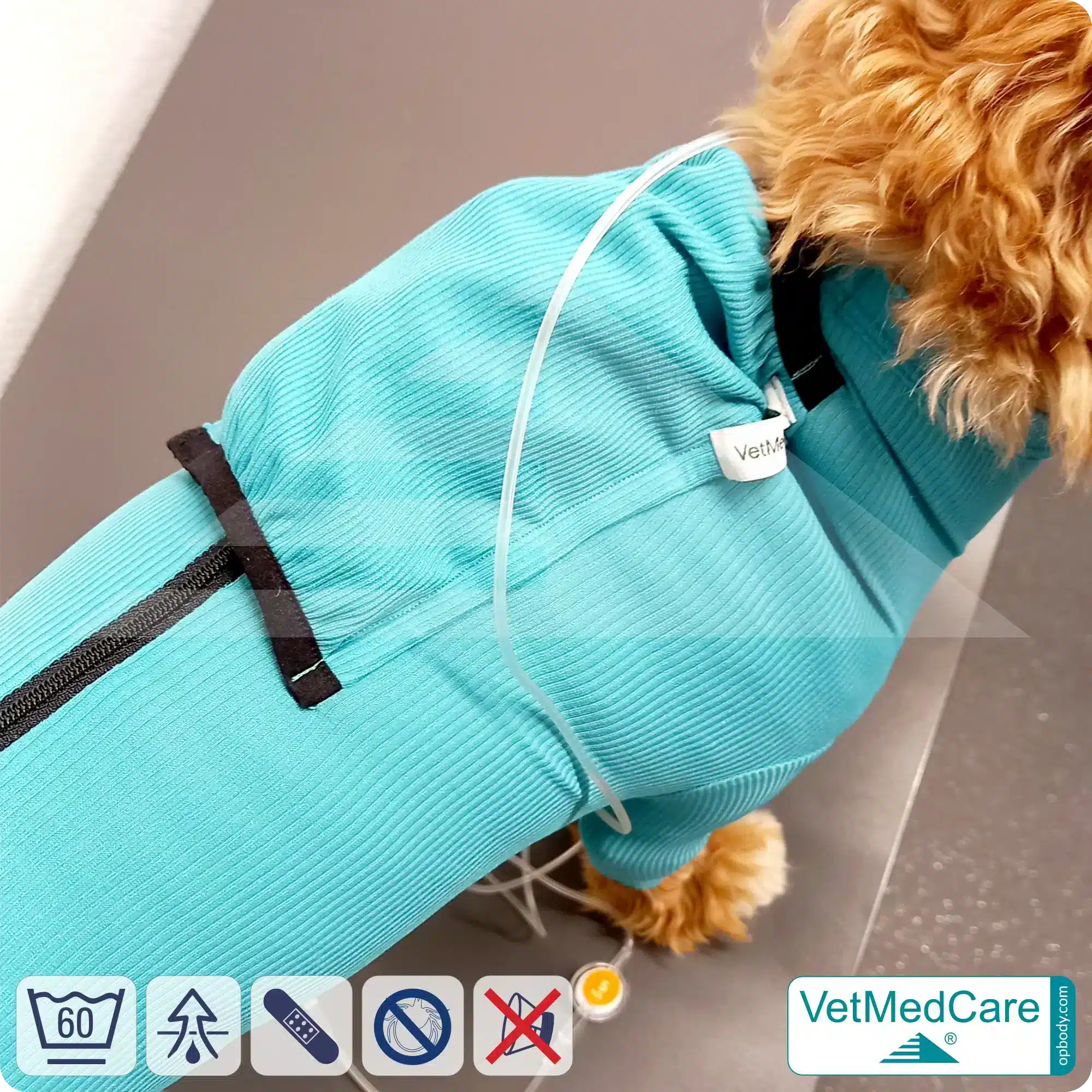 Hund System Body mit Beinen + Reißverschluss + Zusatzfunktion Tasche | Hund Body - Ganzkörperbody mit 4 Beinen | VetMedCare® 5 Hund System Body mit Beinen + Reißverschluss + Zusatzfunktion | Hund Body - Ganzkörperbody mit 4 Beinen | VetMedCare®