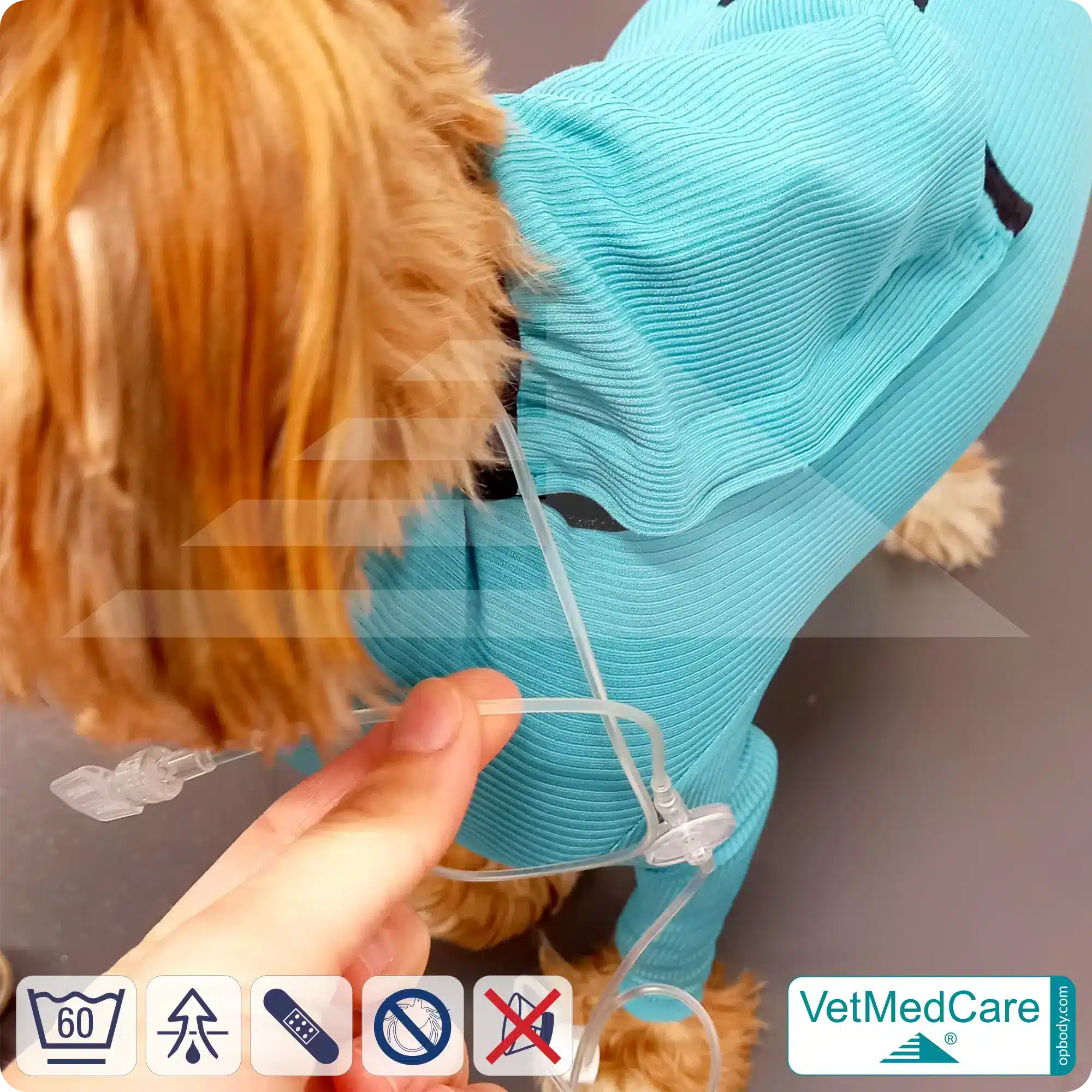 Hund System Body mit Beinen + Reißverschluss + Zusatzfunktion Tasche | Hund Body - Ganzkörperbody mit 4 Beinen | VetMedCare® 7 Hund System Body mit Beinen + Reißverschluss + Zusatzfunktion | Hund Body - Ganzkörperbody mit 4 Beinen | VetMedCare®