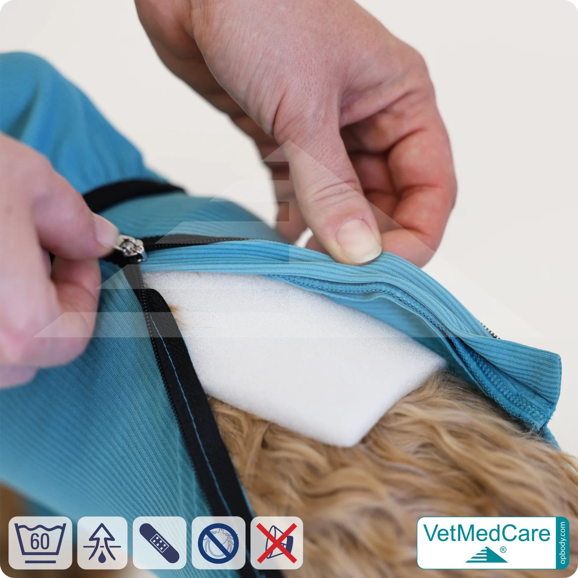 Hund System Body mit Beinen + Reißverschluss + Zusatzfunktion Tasche | Hund Body - Ganzkörperbody mit 4 Beinen | VetMedCare® 10 Hund System Body mit Beinen + Reißverschluss + Zusatzfunktion | Hund Body - Ganzkörperbody mit 4 Beinen | VetMedCare®