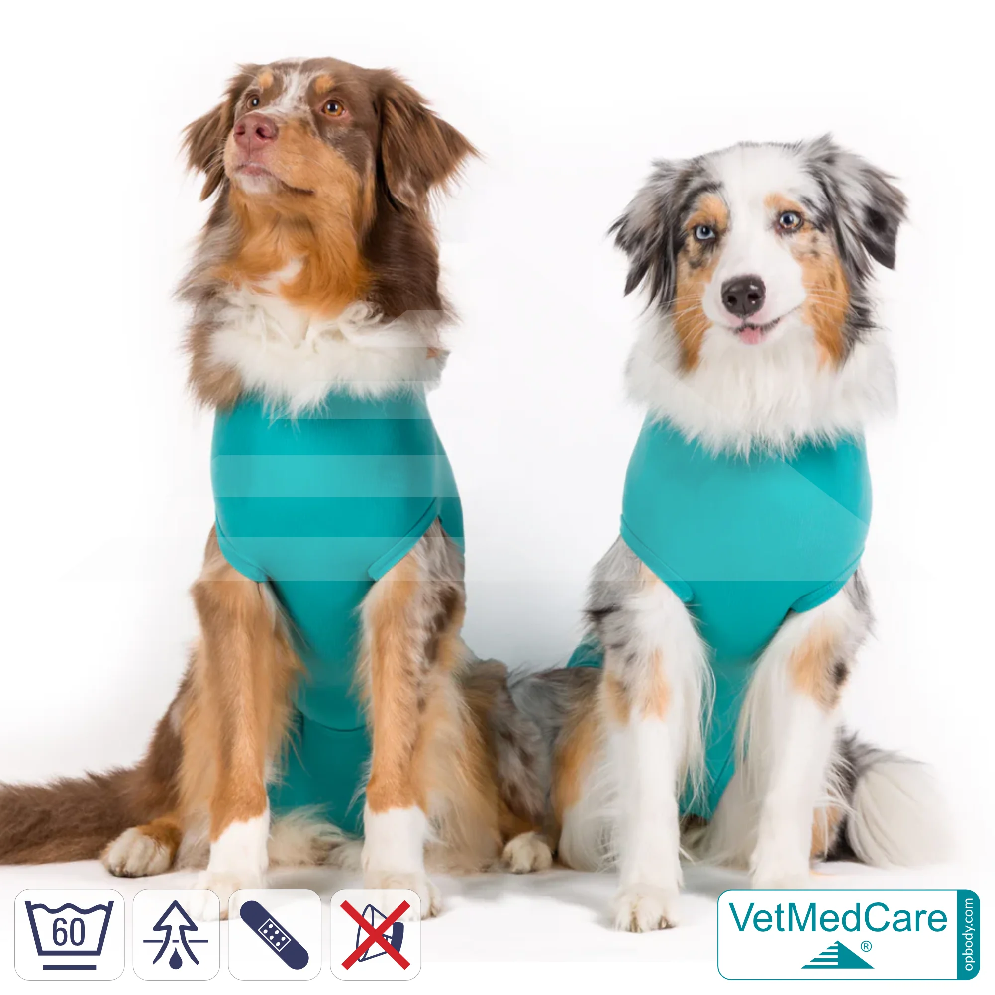 Hundebody "Komfort" - UNISEX - nach Hund Operation | Ohne Beine mit dehnbaren Bündchen VetMedCare® 2 VetMedCare Hundebody Comfort UNISEX