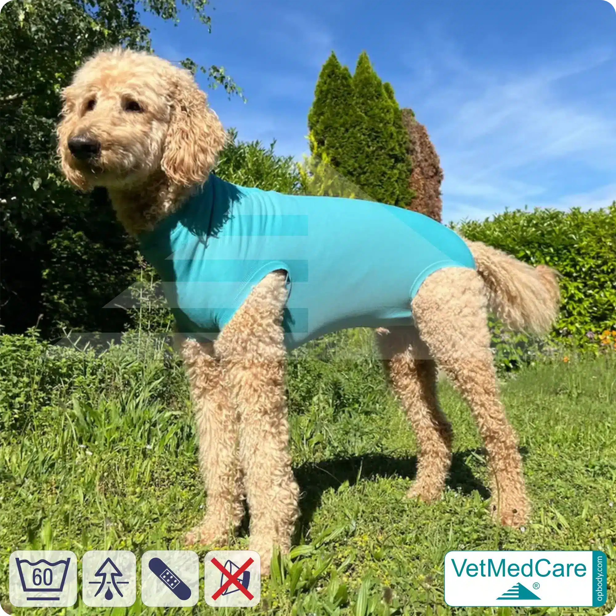 Hundebody "Komfort" - UNISEX - nach Hund Operation | Ohne Beine mit dehnbaren Bündchen VetMedCare® 5 VetMedCare Hundebody Comfort UNISEX